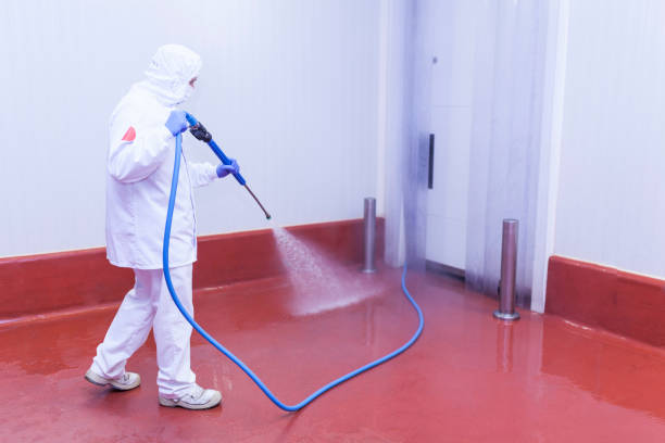 Best Graffiti Removal  in Anthony, KS